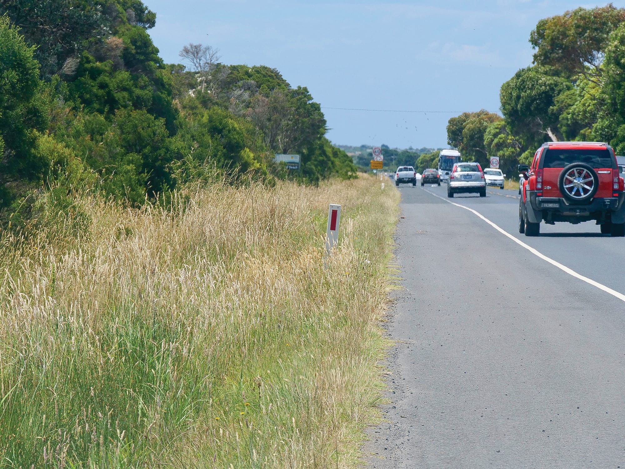 Spruce up for roadside as Christmas approaches