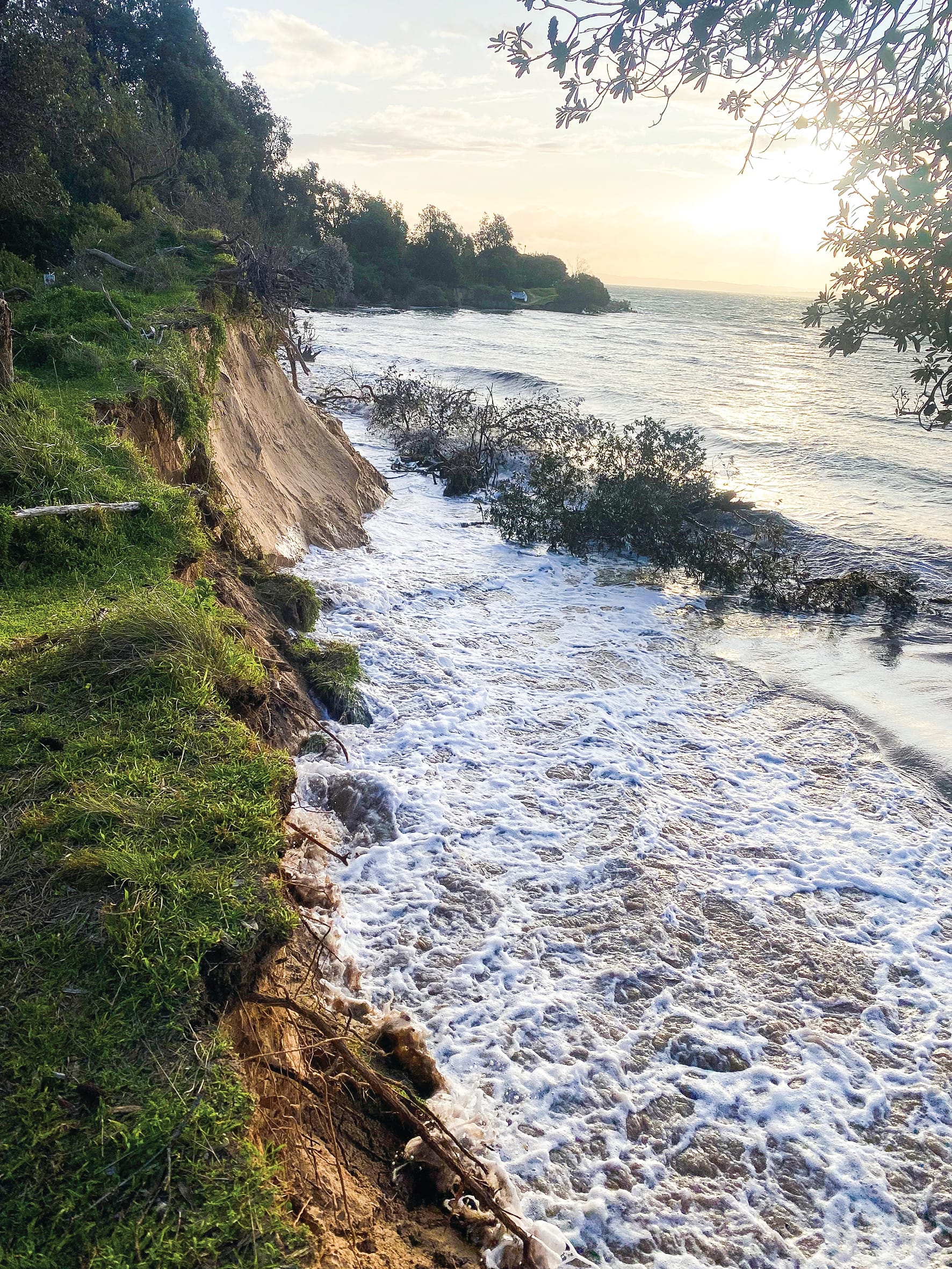 Question everything: February meeting