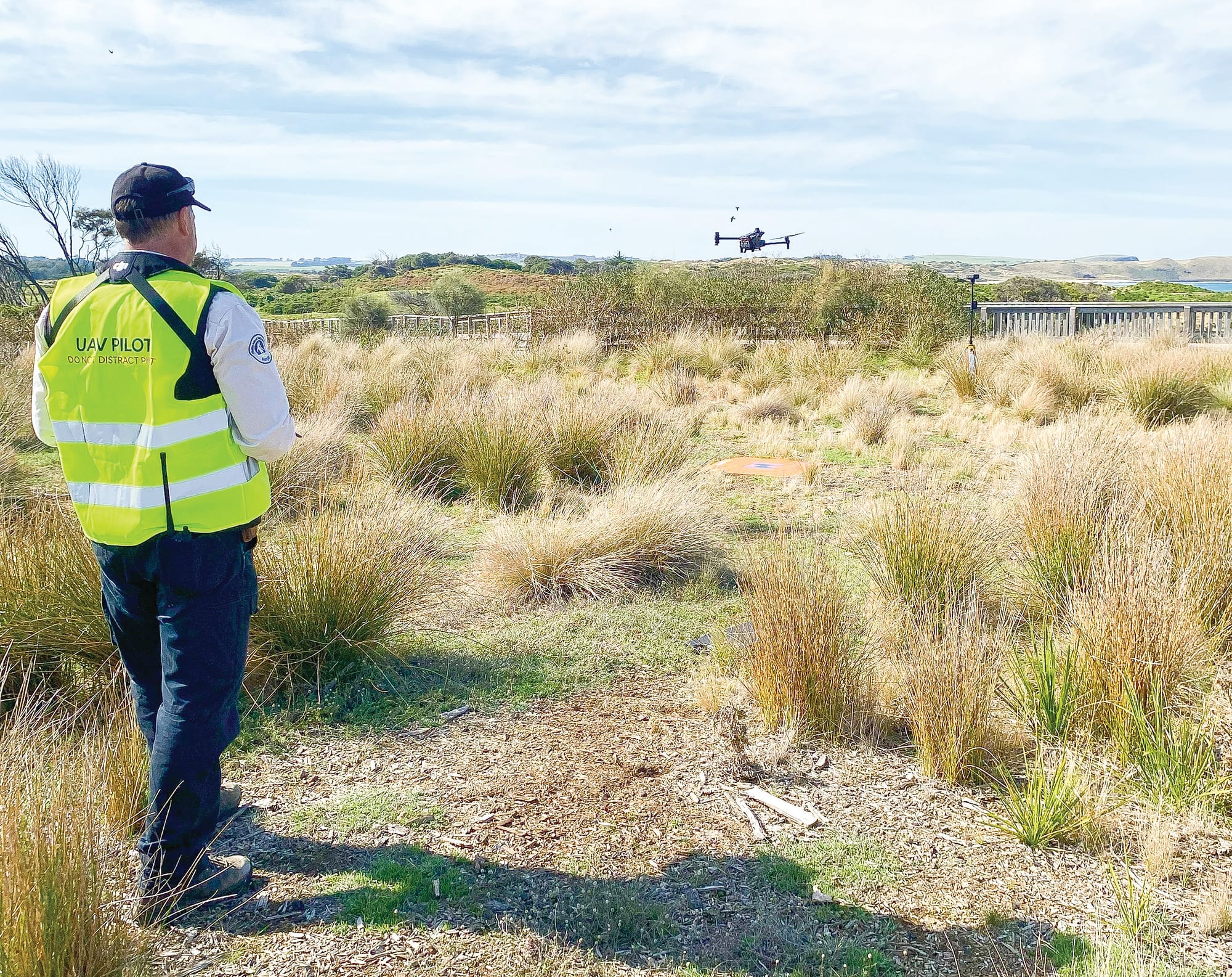 Penguin Parade boardwalk upgrade underway