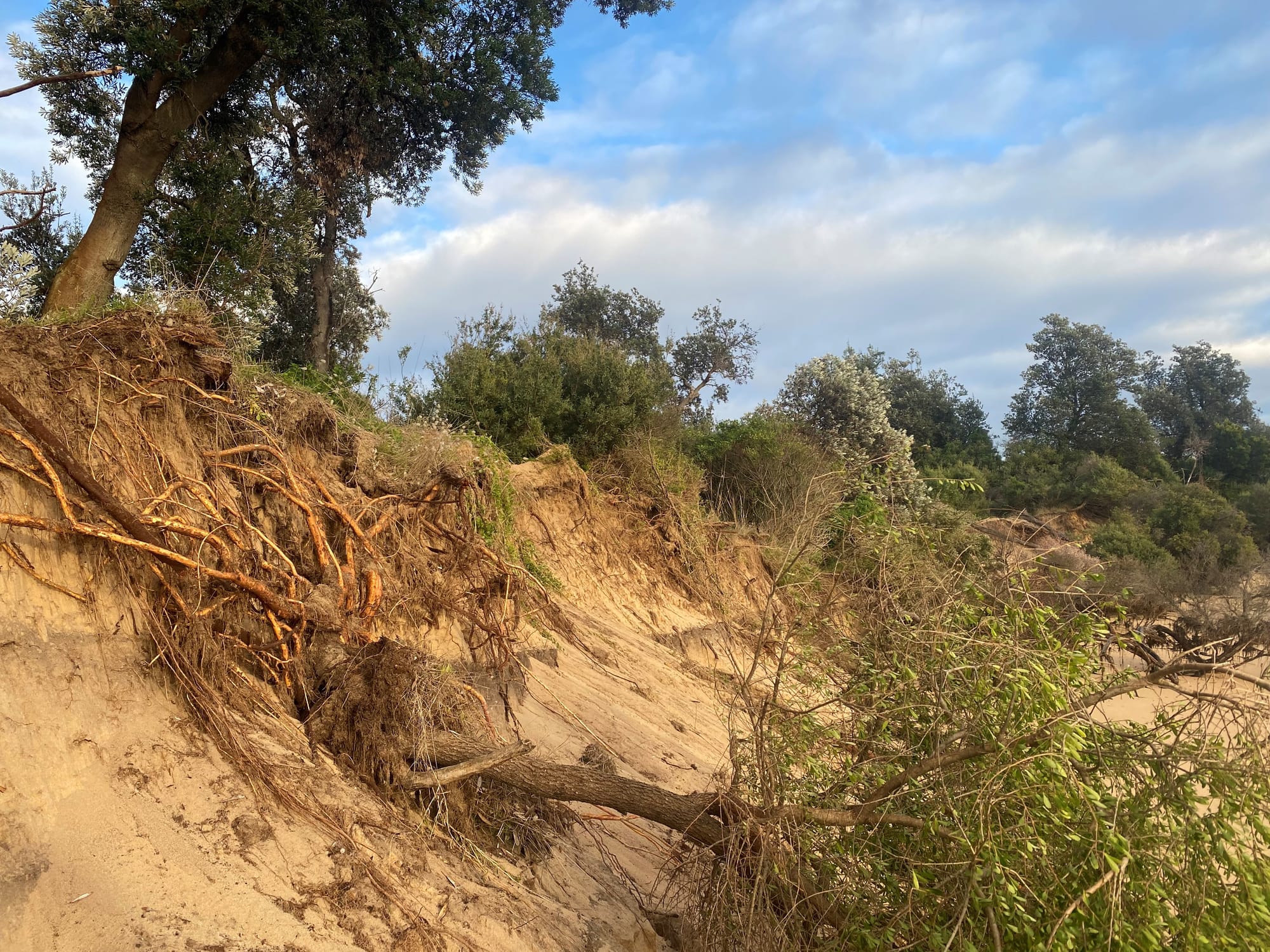 Buyback, class action, urgent meeting?