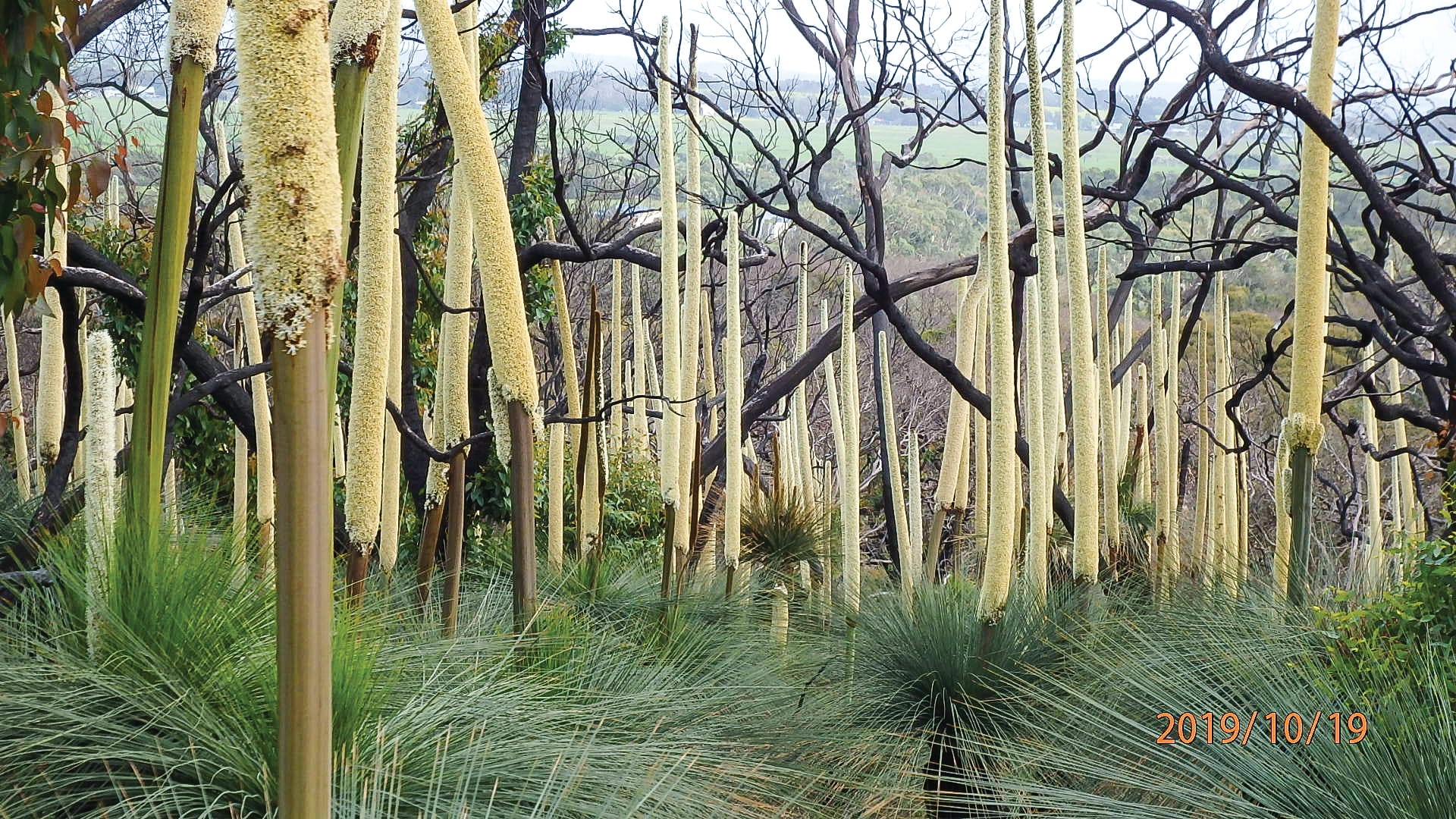 Doubts cast on state government motives