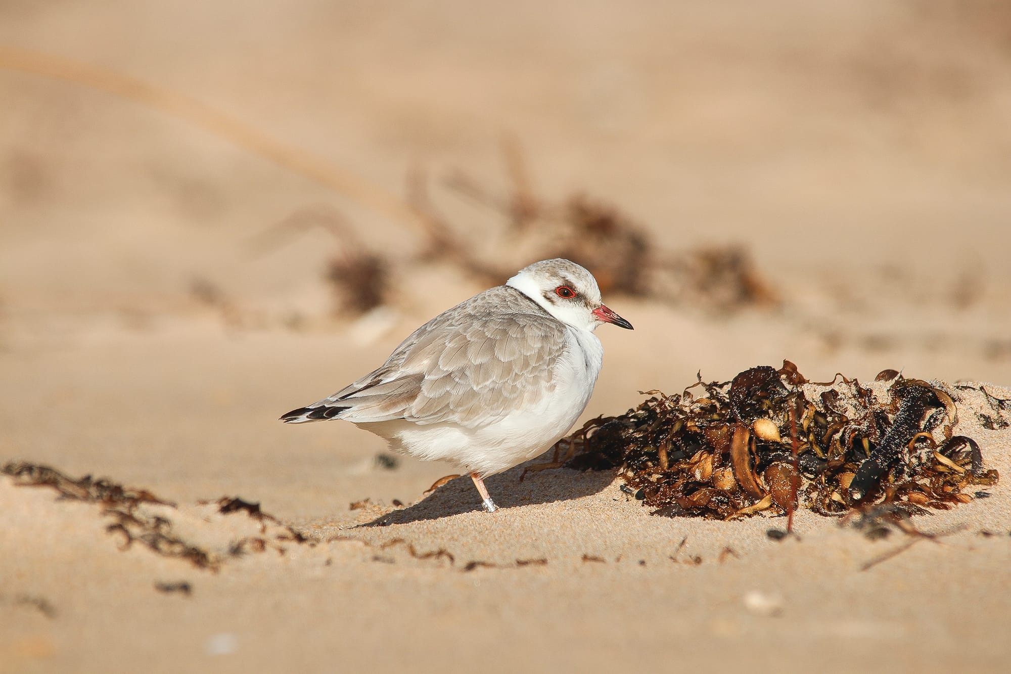 Know Your Nature Parks – Spring