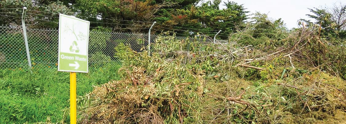 Get ready for summer with fee-free green waste disposal