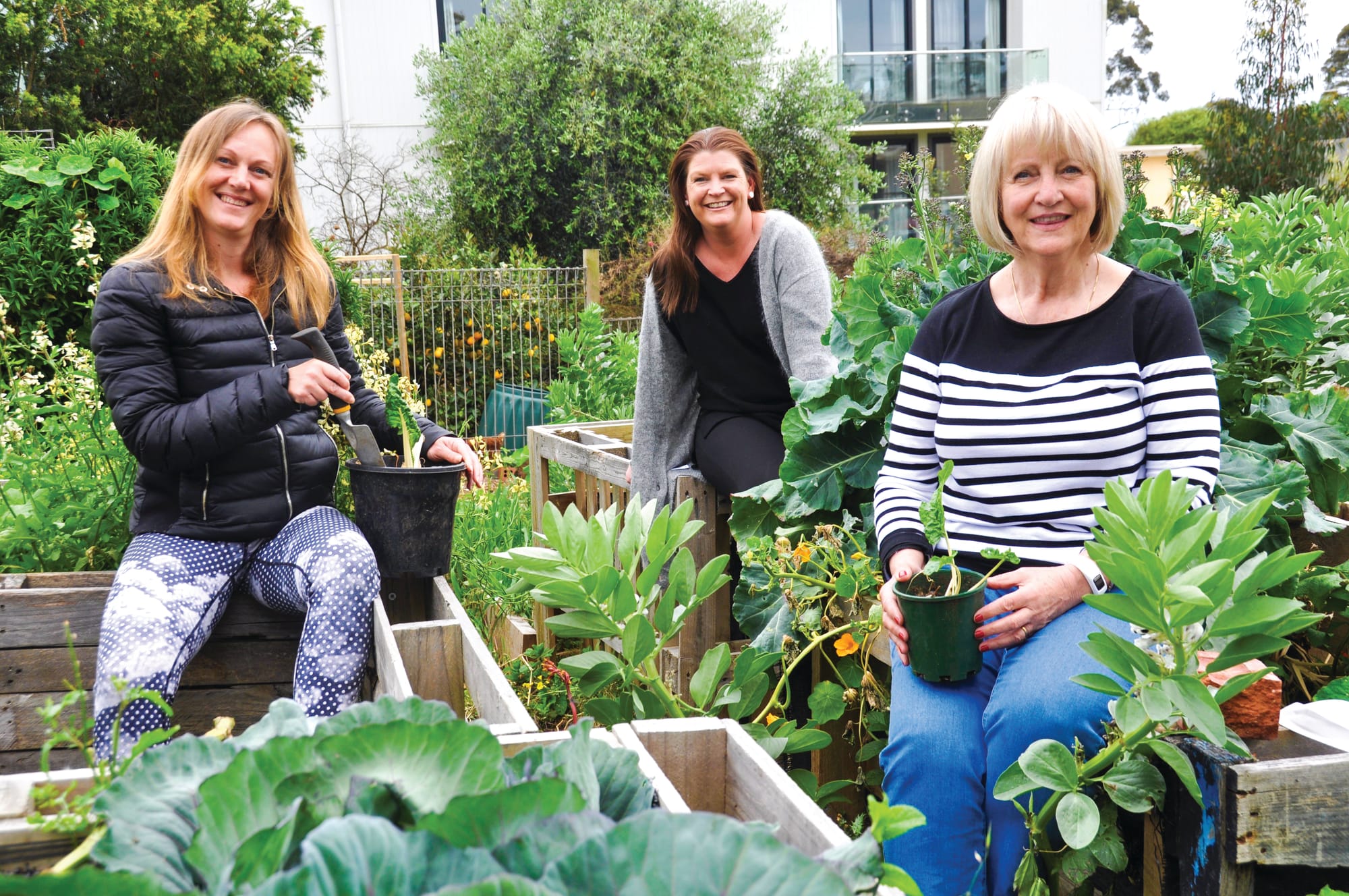 Less connection and more pressure on PICAL