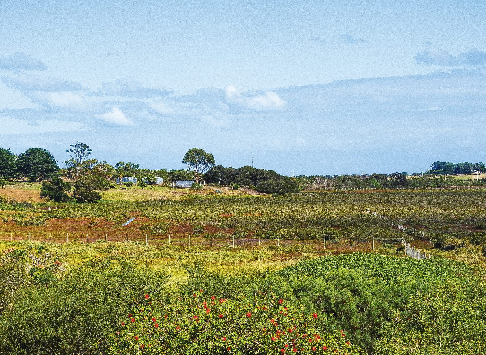 Newhaven developer playing a watch and wait game