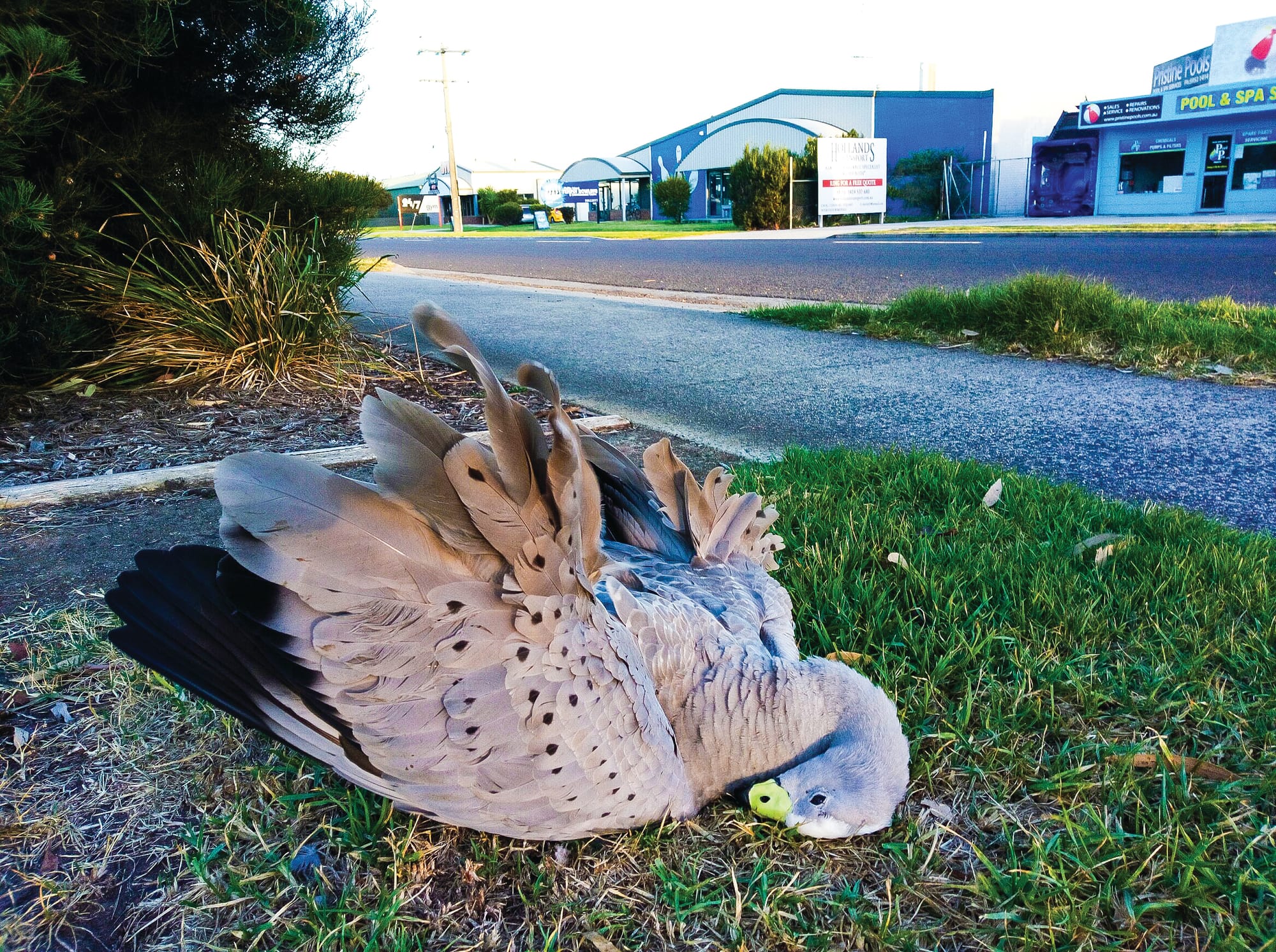 Next round of speed limit review