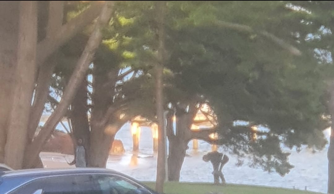 Early praise for schoolies