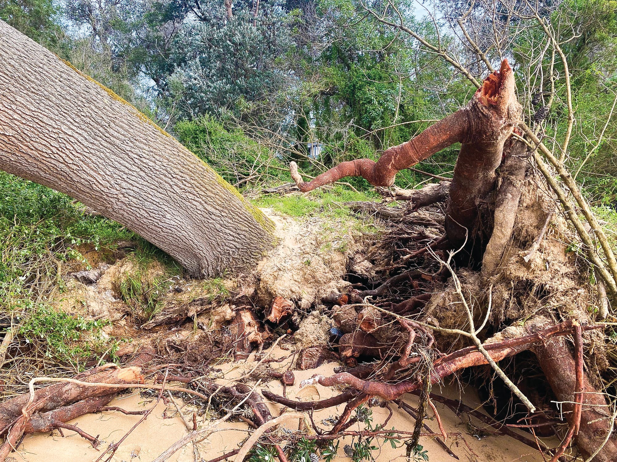 Warning bells ringing on planning