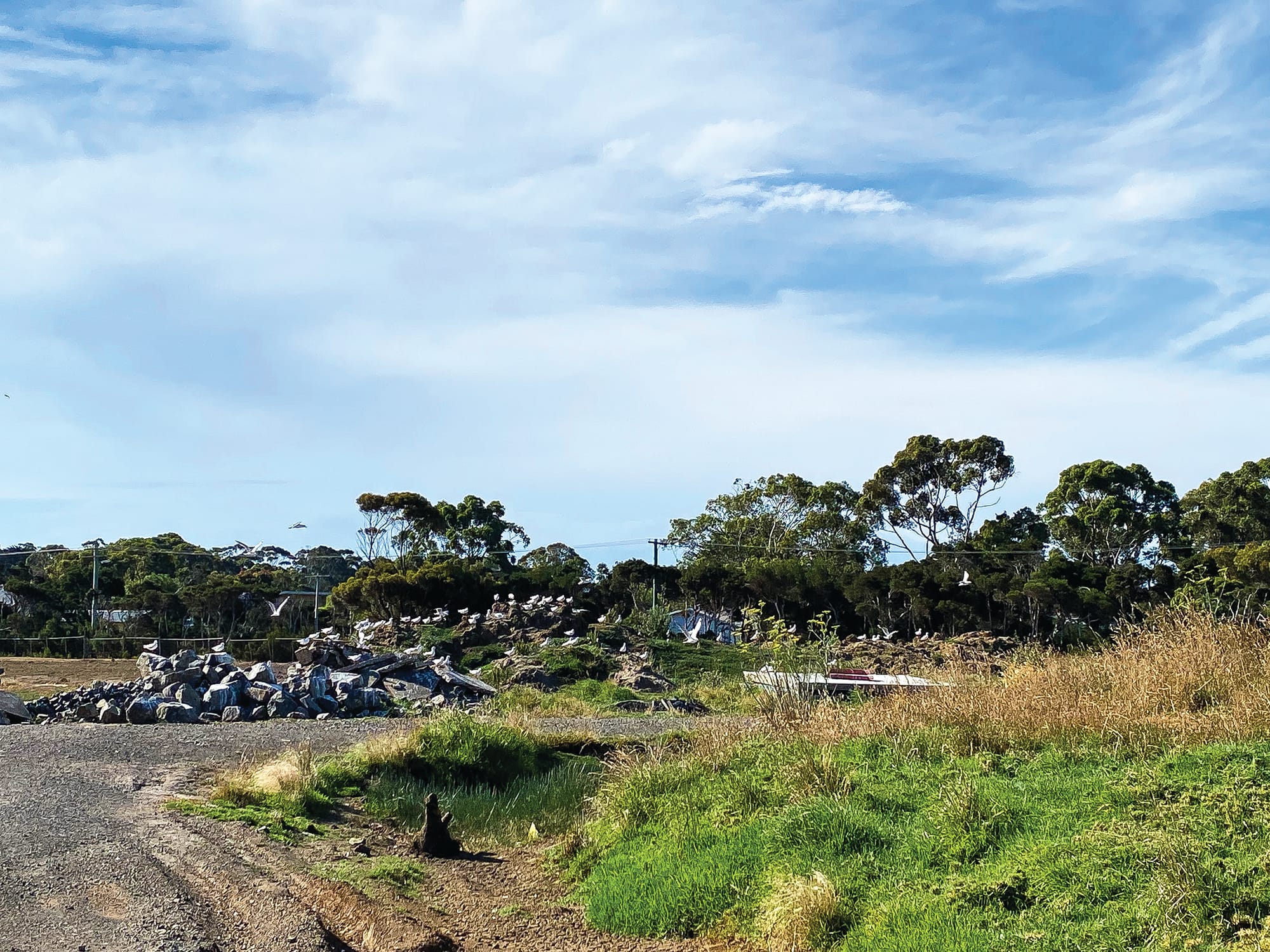 Developer promises wetlands will be completed