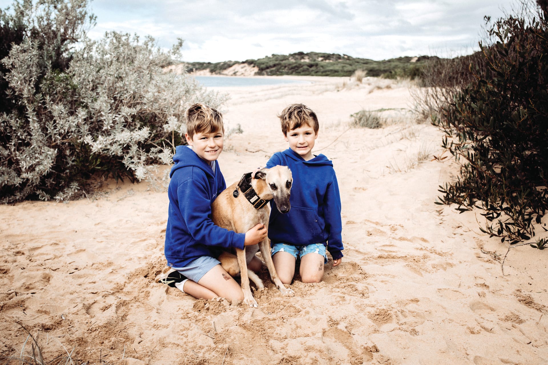 Best approach for Animal Management?