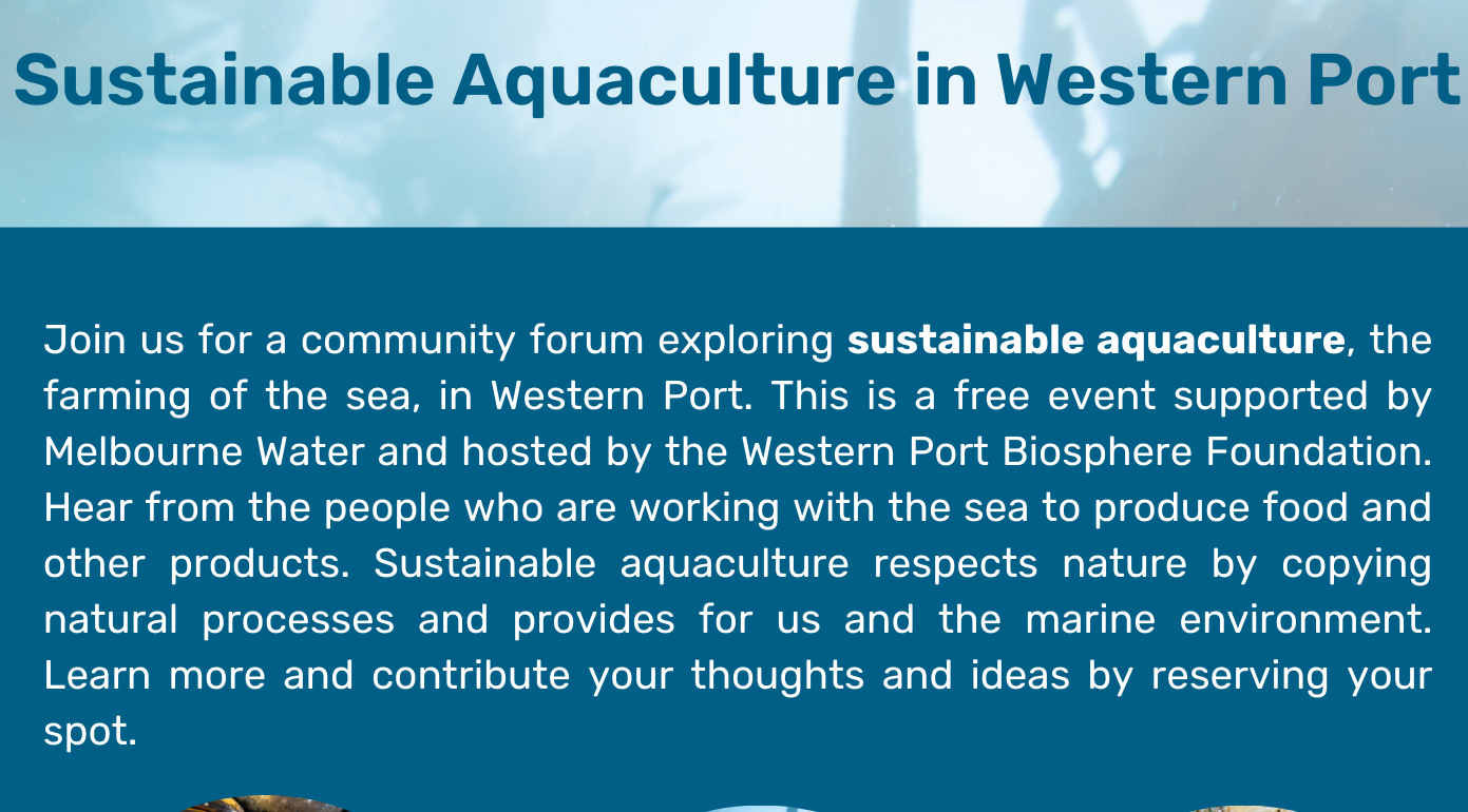 Sustainable Aquaculture in Western Port