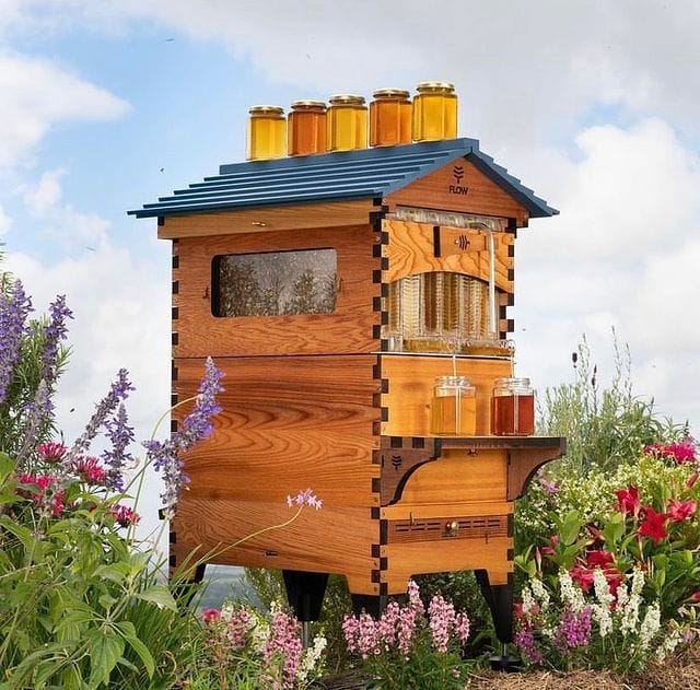 Beekeeping flow hive workshop