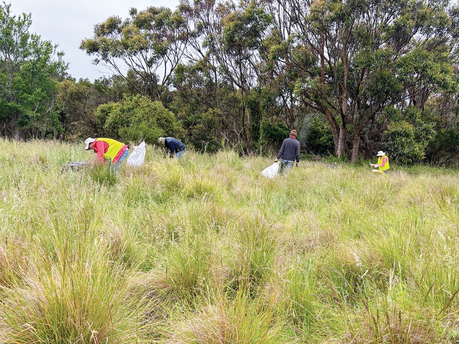 Another Scenic Estate clean up