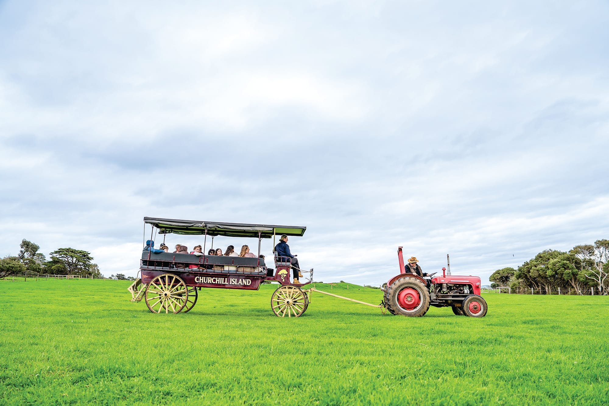 As part of the new experience, visitors to Churchill Island can ride on board a tractor to meet and feed Highland cattle in an experience that blends nature and history.