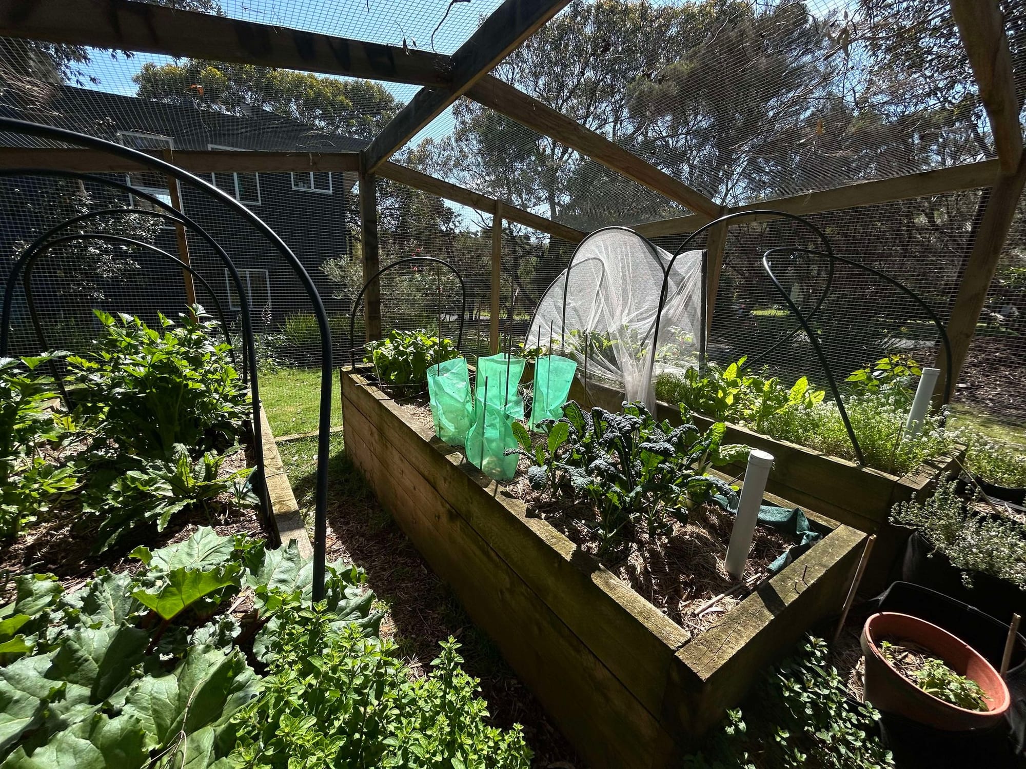 Edible Gardens Weekend