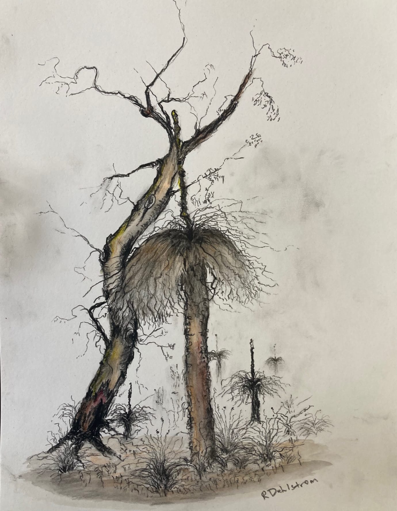 Woodlands exhibition and art prize