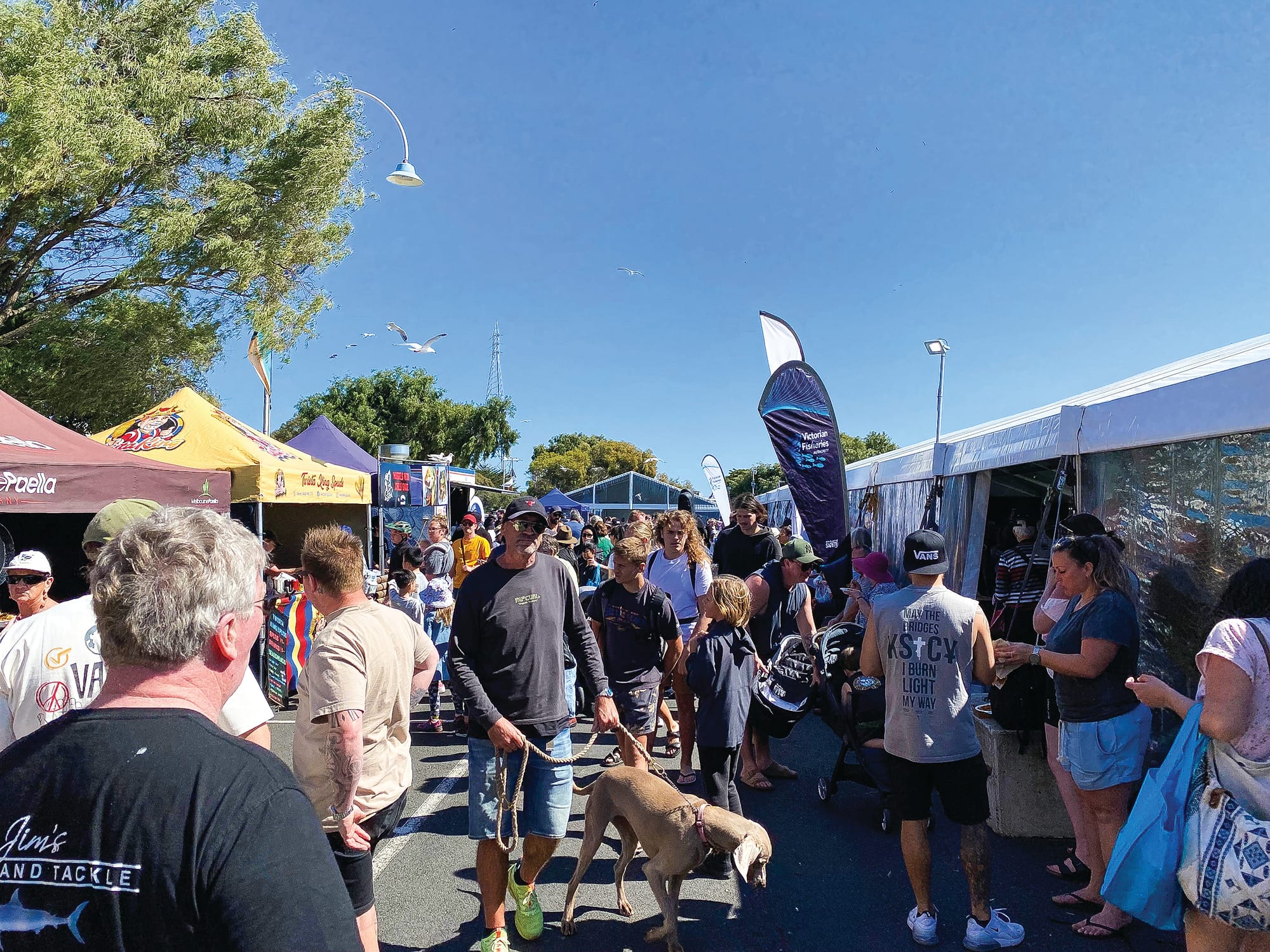 TIDAL Seafood Festival