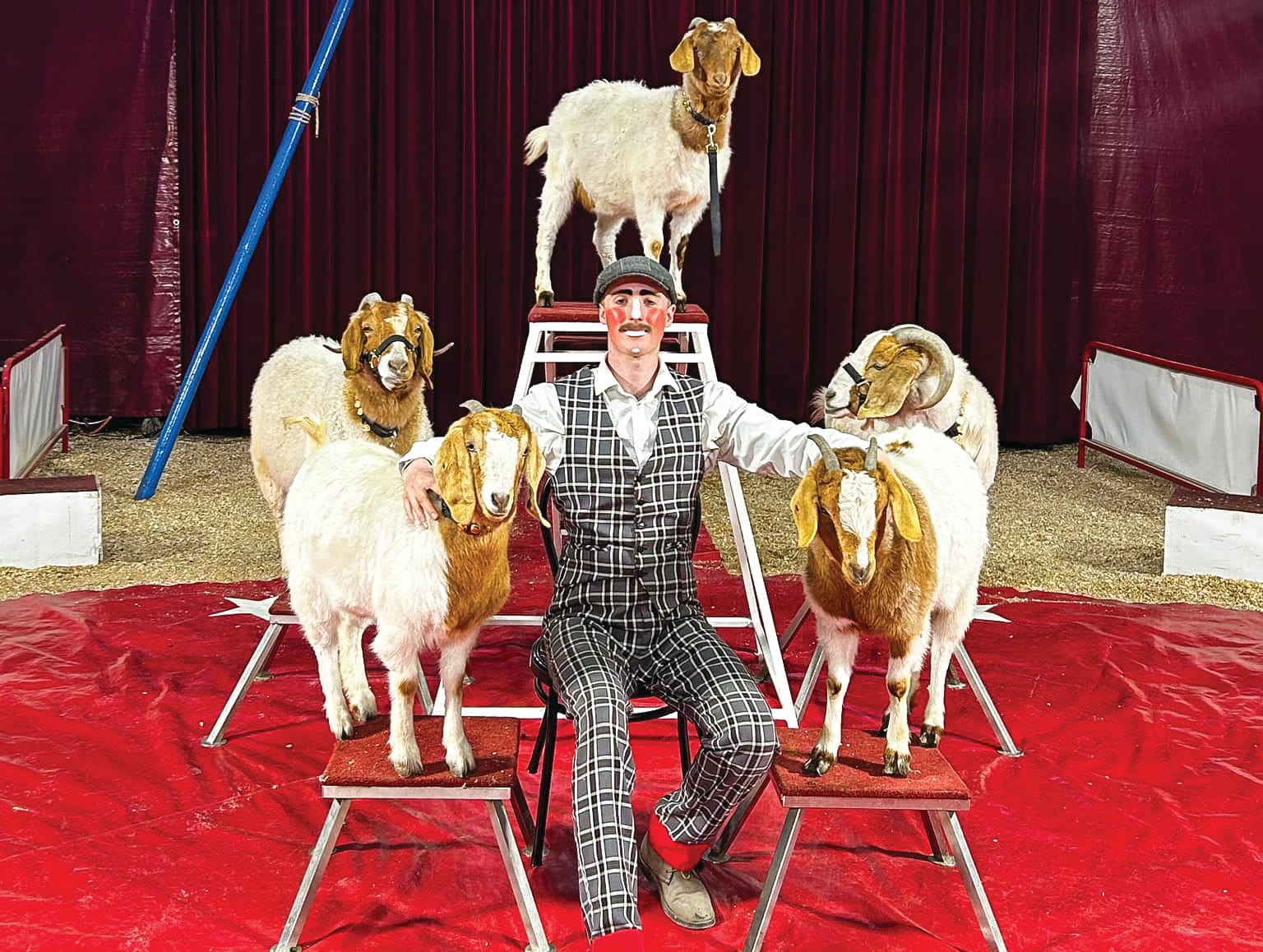 Eroni's Circus on Phillip Island