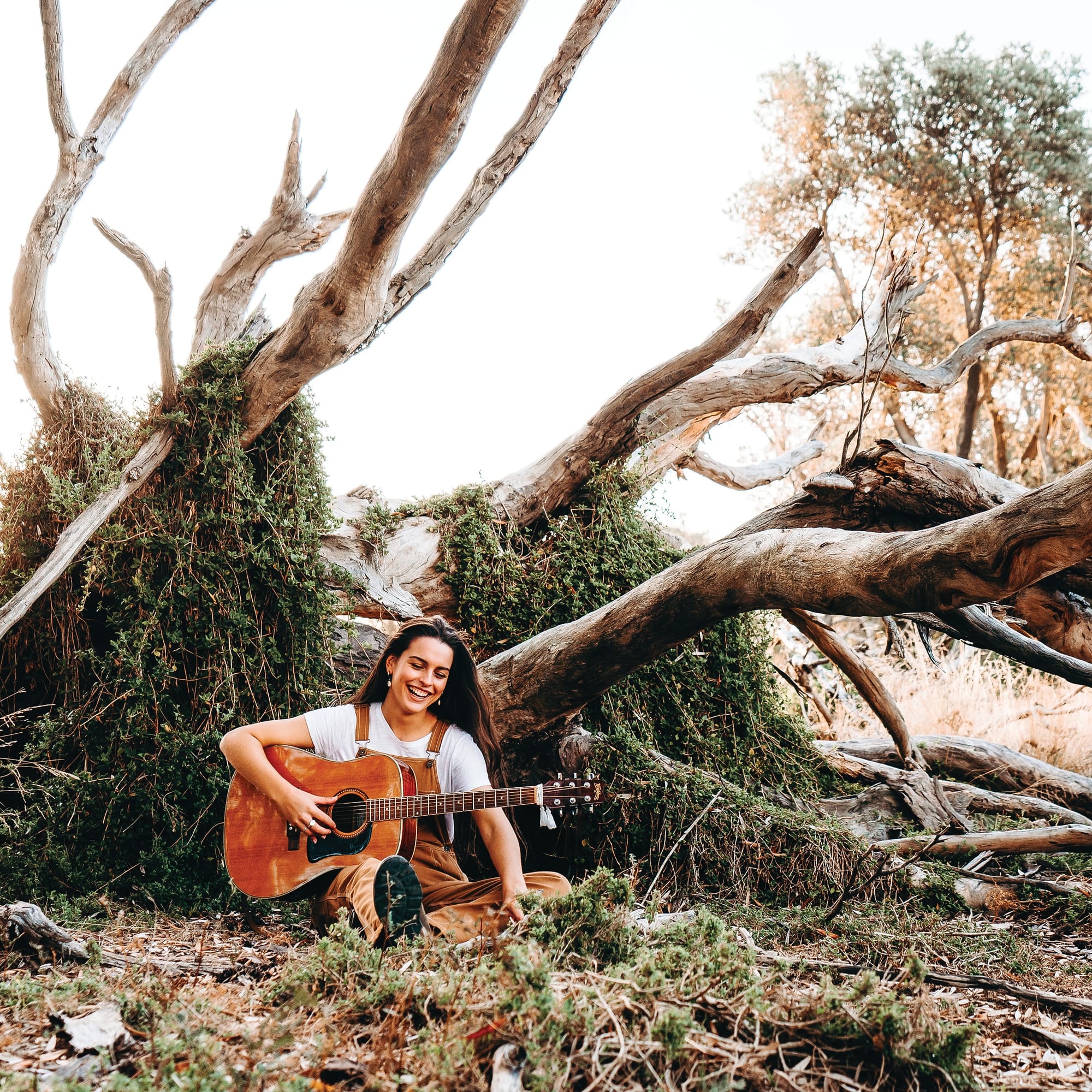 Steph Strings & friends