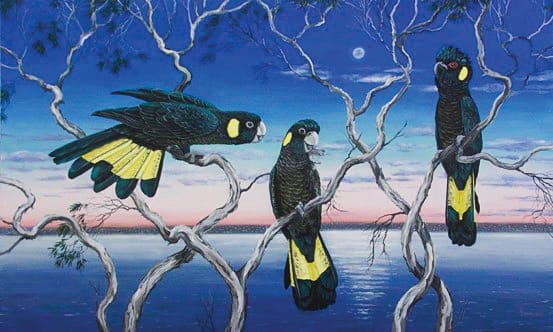 Sublime landscapes and beautiful birds