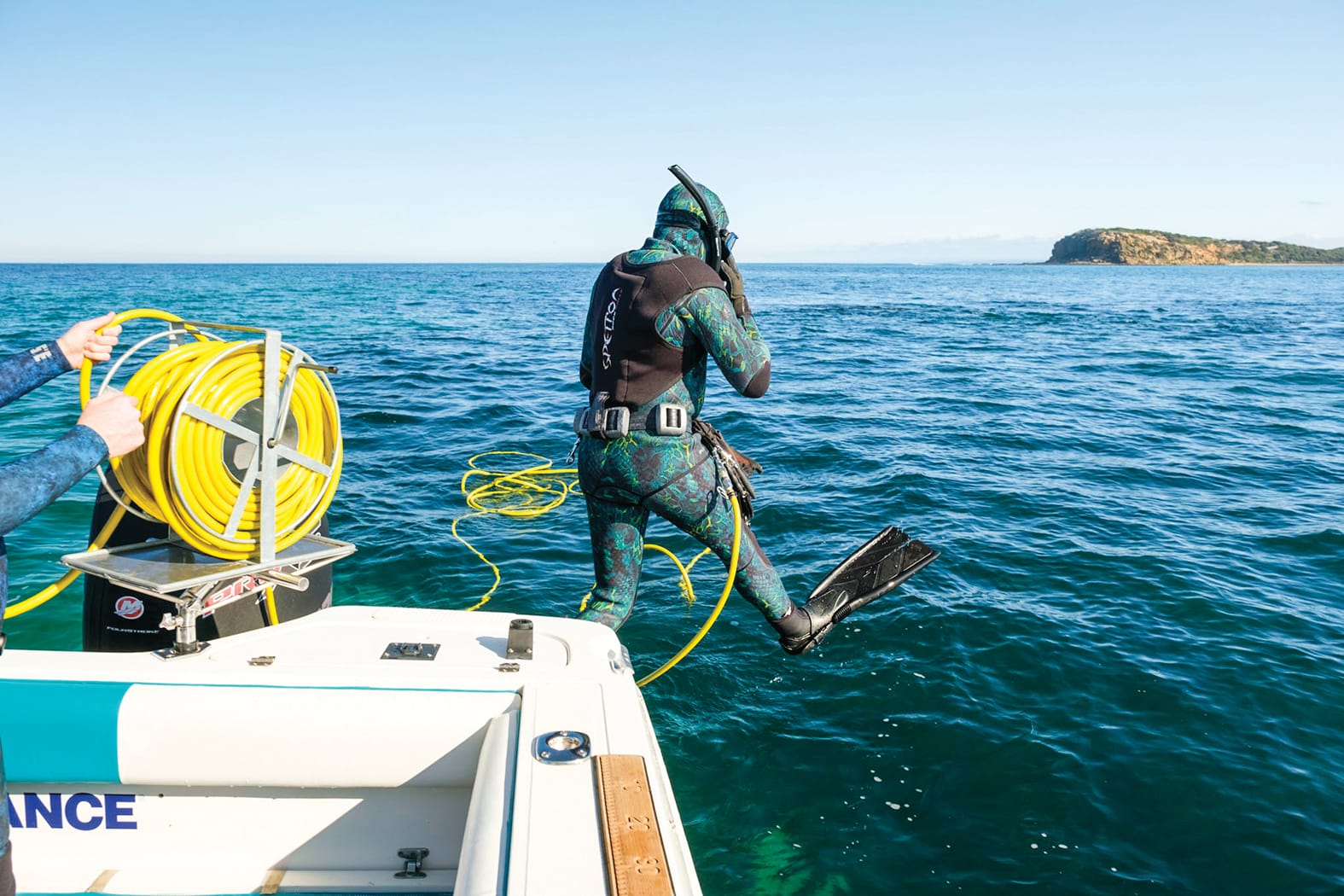 Dive into abalone and rock lobster this summer