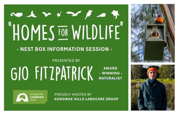 Kongwak Landcare presents: Homes for Wildlife