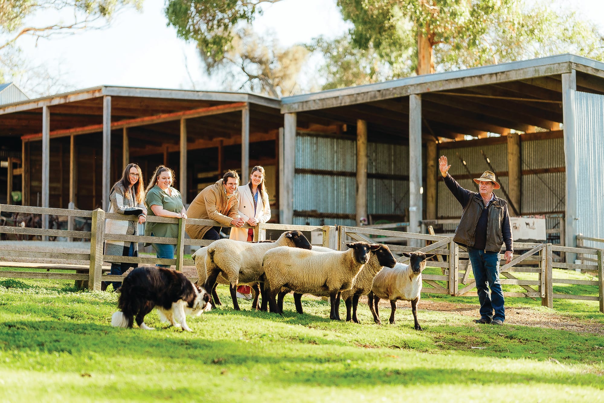 PINP - Community Open Day