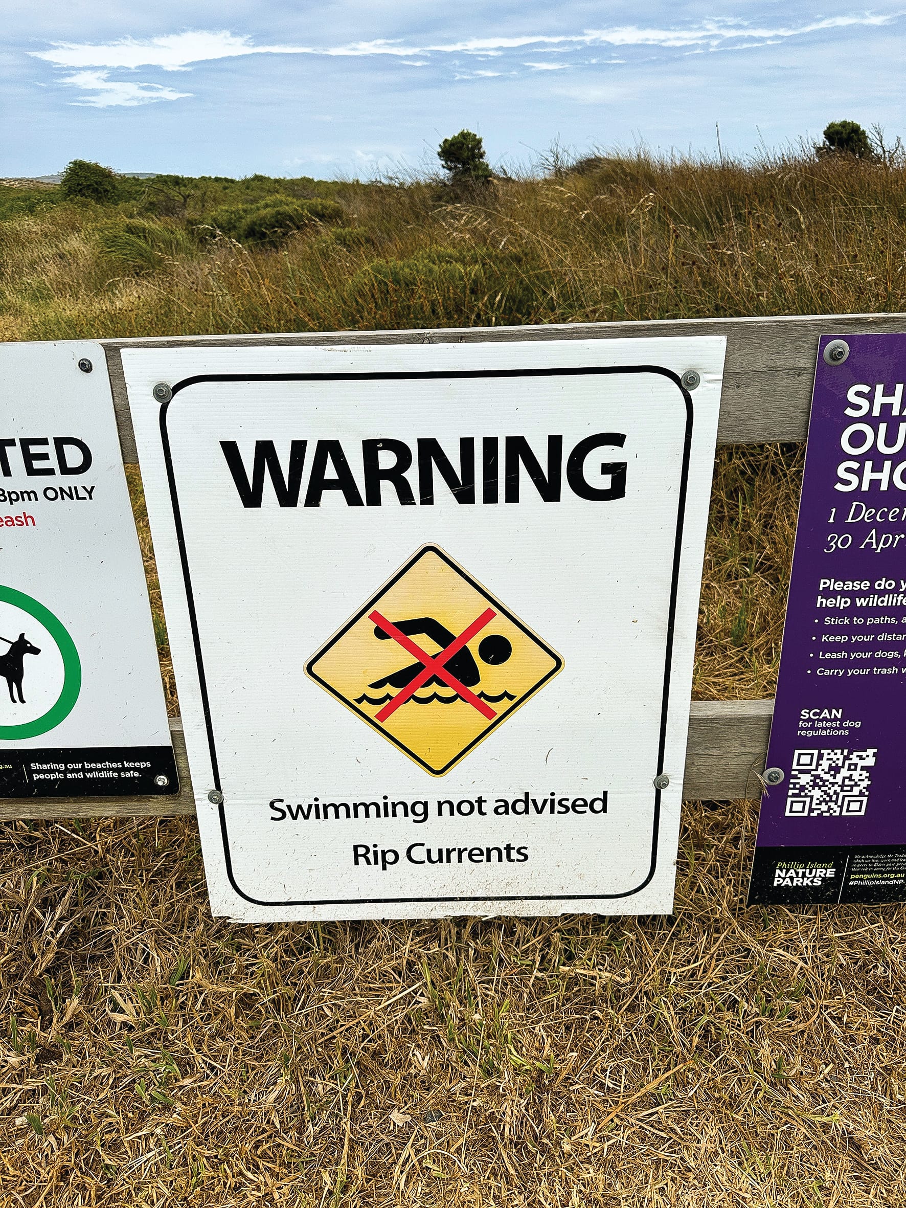 Beach Safety Research - VR session