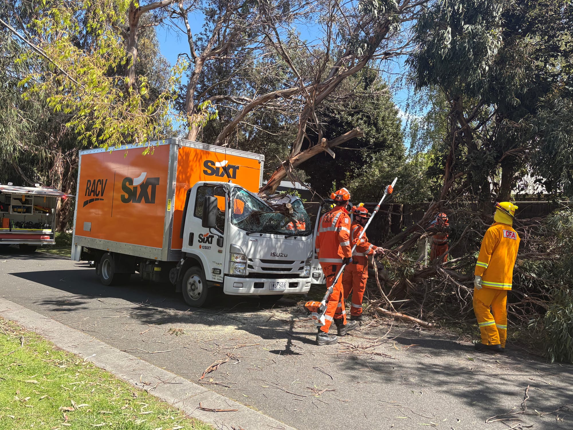 Couple narrowly escape tree crush