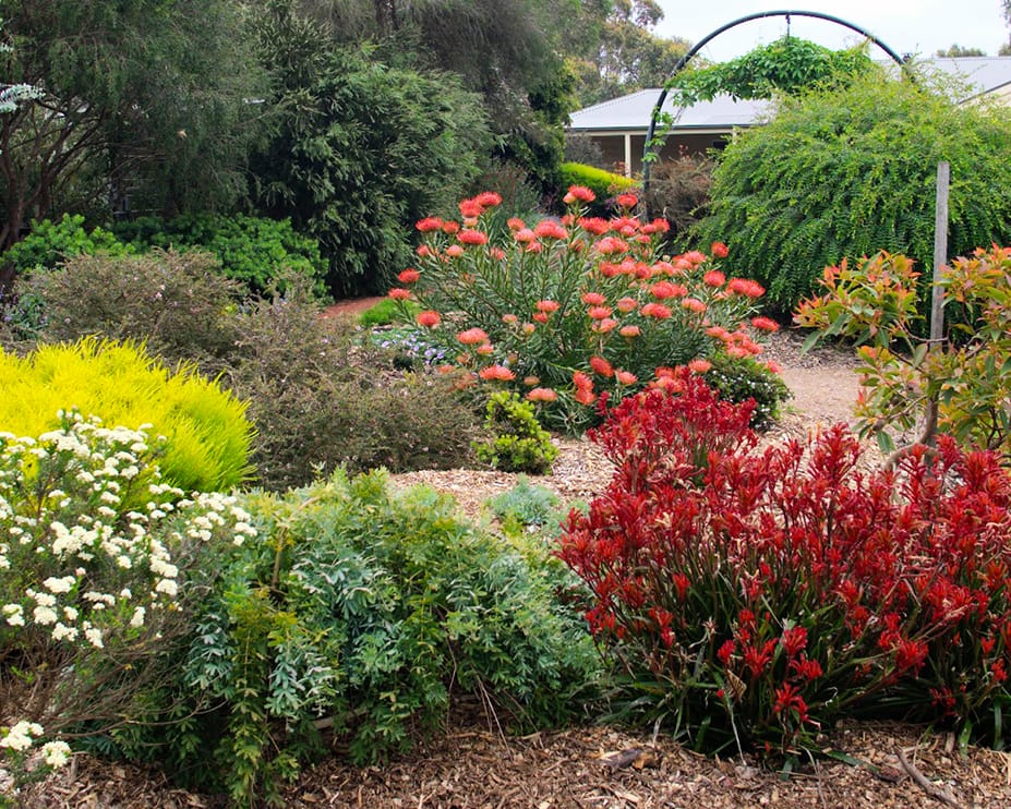 Two inspirational South Gippy gardens opening for one day only in early April