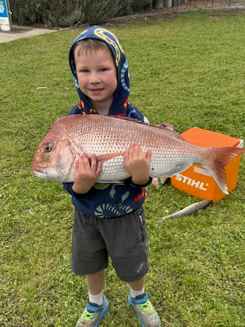 Big weekend as snapper season fires up