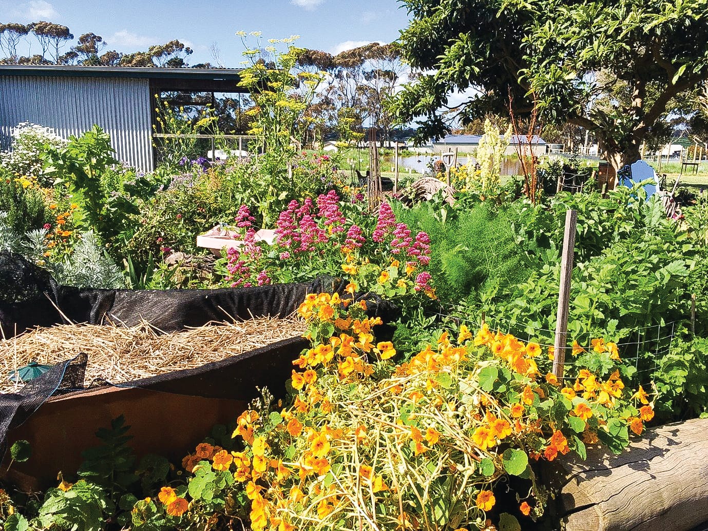 Introduction to permaculture