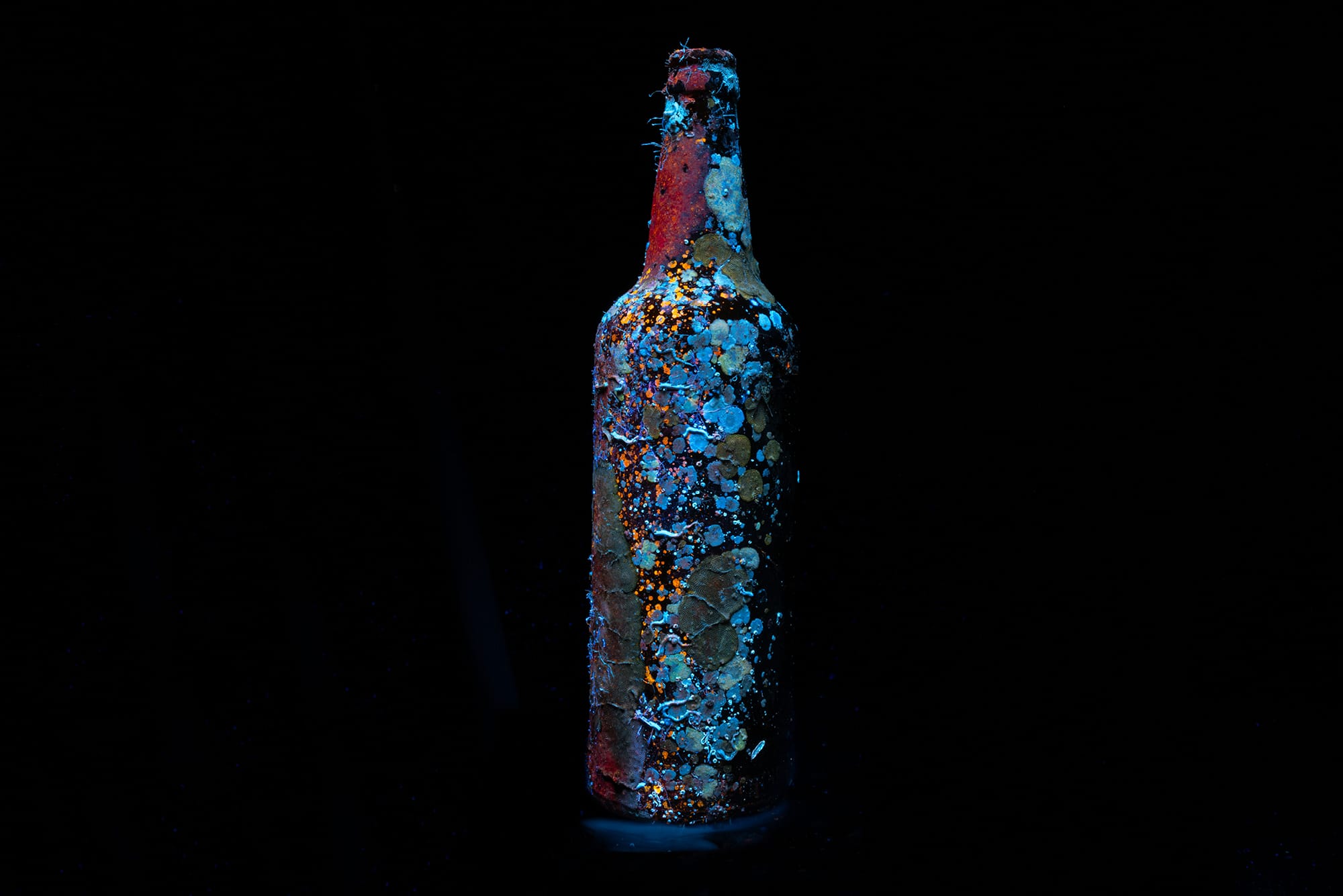 A deep dive into nature