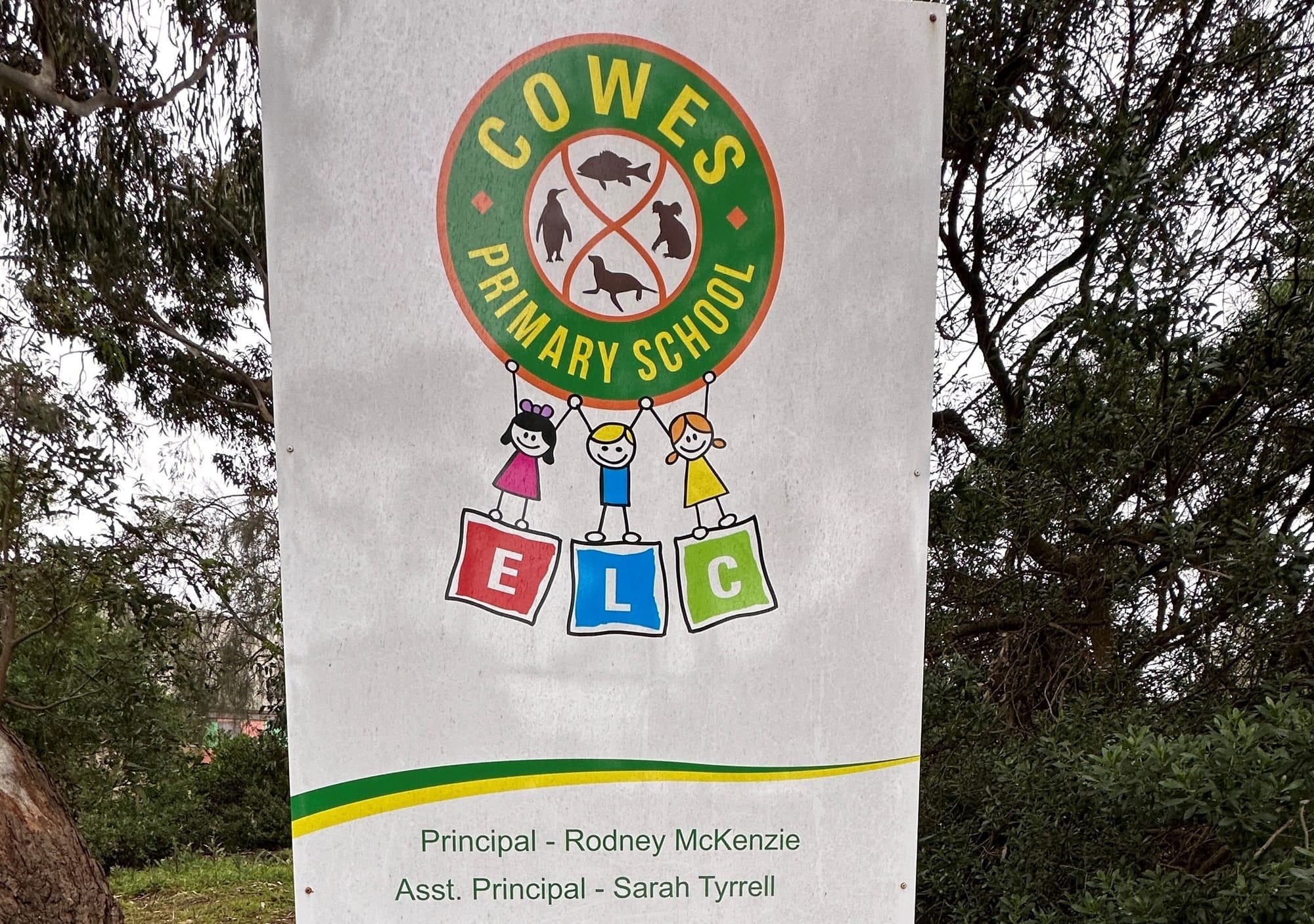 Local gold stars in NAPLAN figures