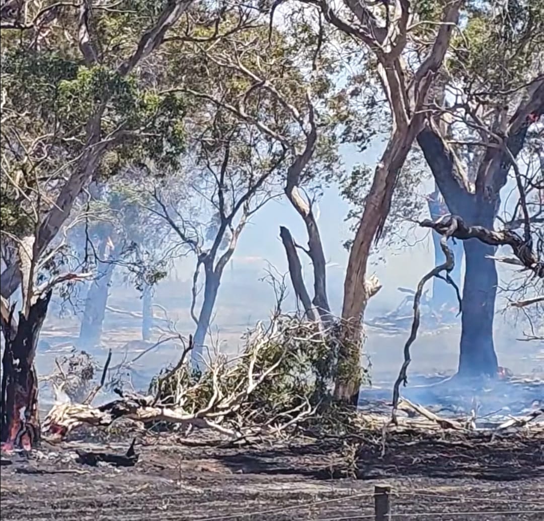 Harbison Road site closely monitored