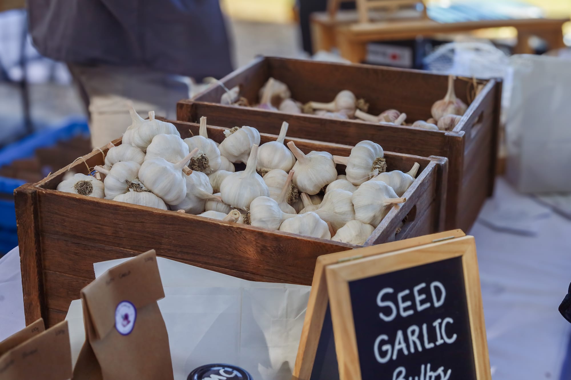 South Gippsland Garlic Festival