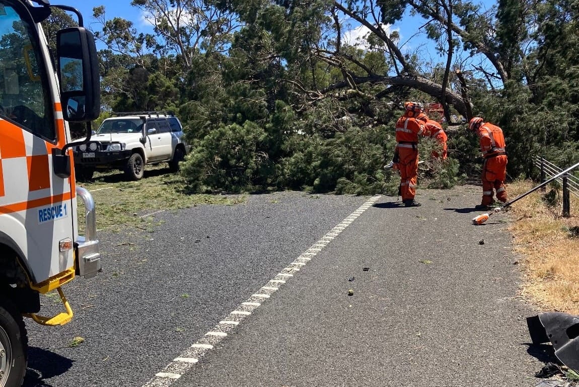 Wild winds keep SES busy