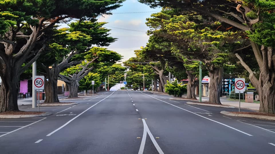 Tough laws on tree removal