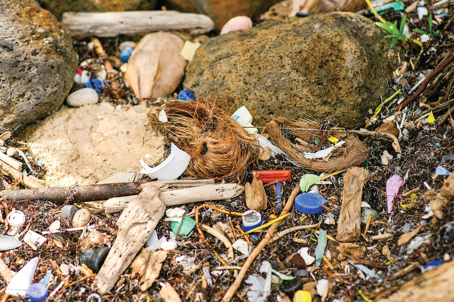 Book in for Clean Up Australia