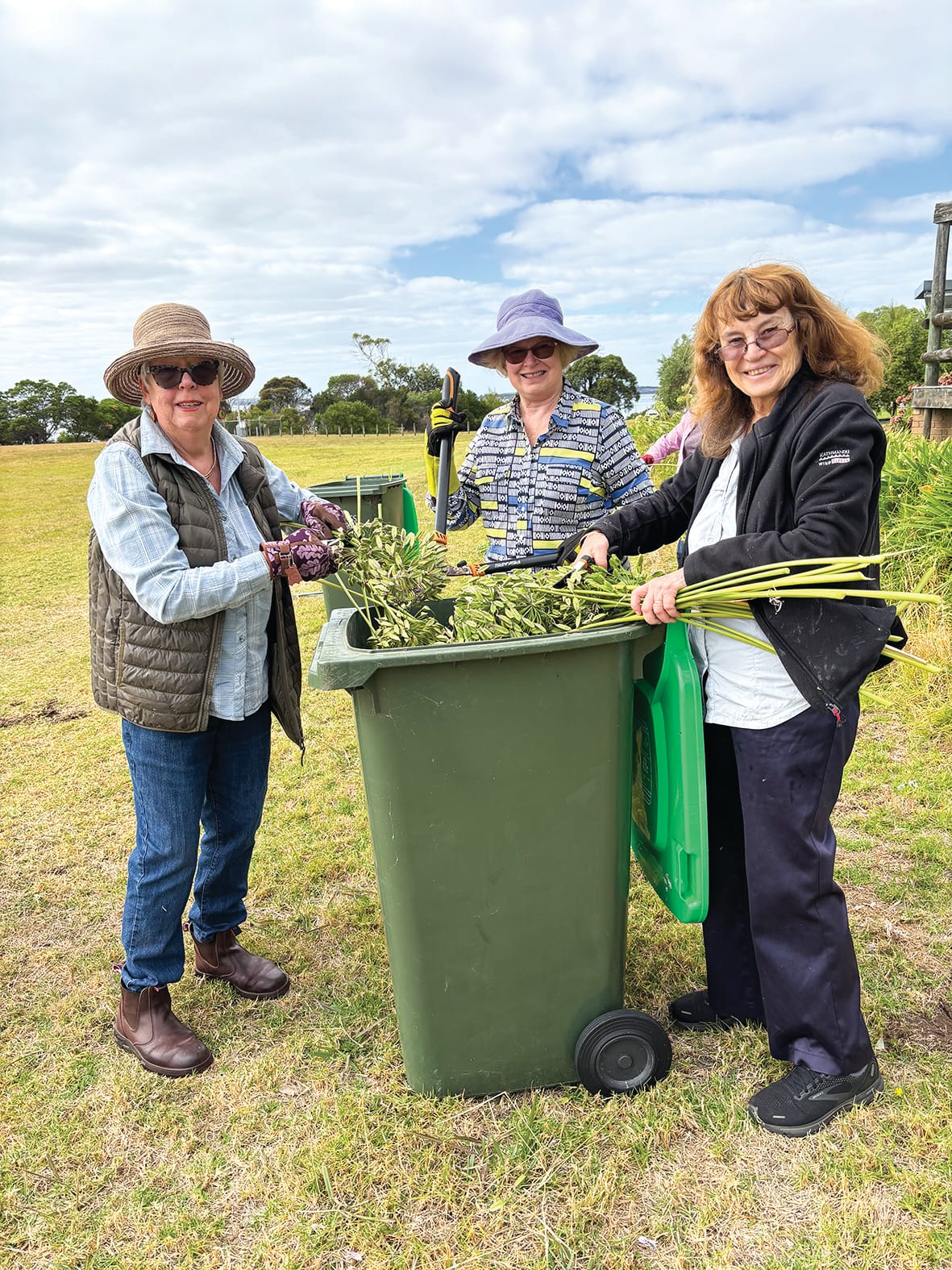 Time to deadhead your agapanthus