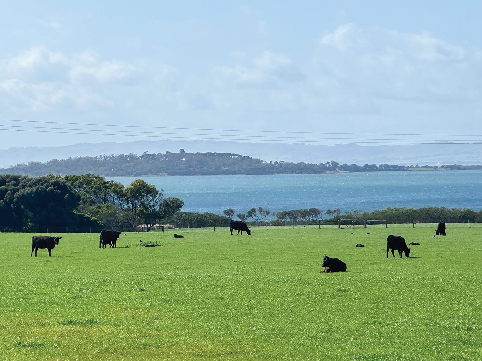 Farmers anxious ahead of council vote