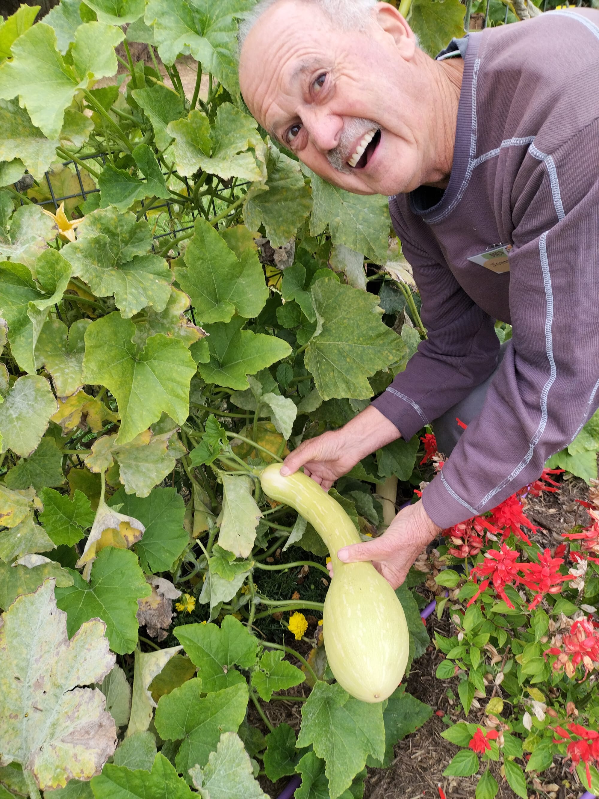 Harvest Festival at Community Orchard