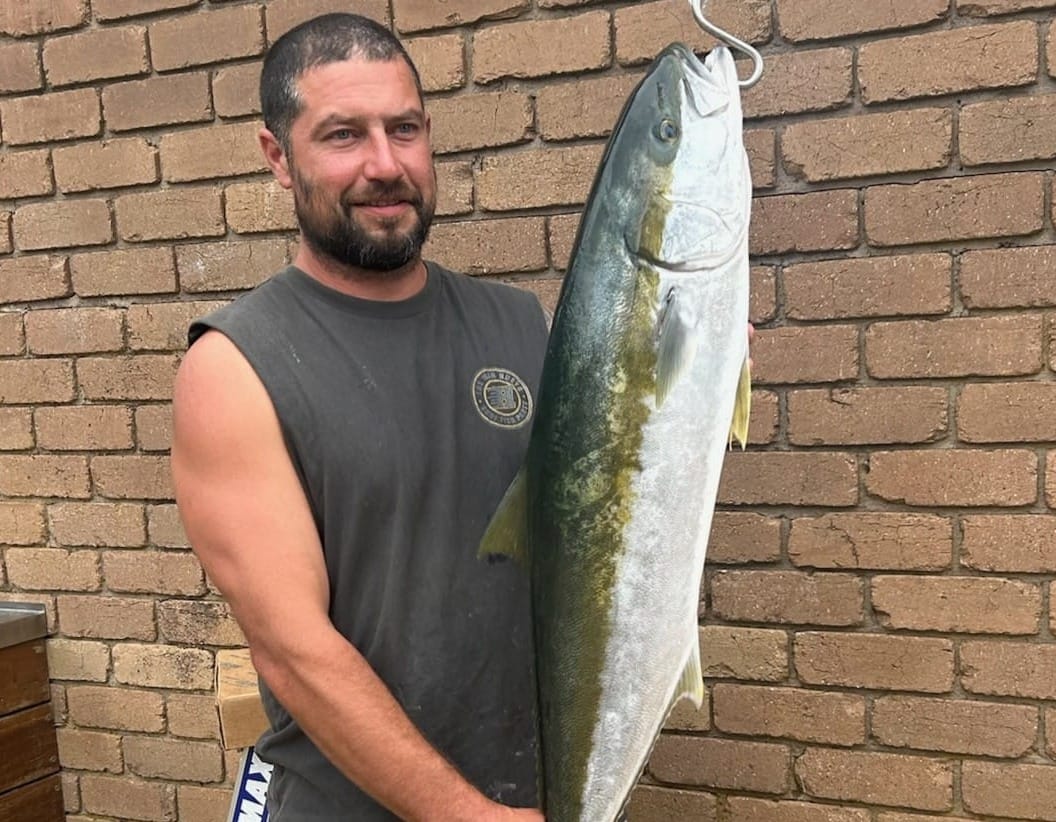 Tropical weekend: big salmon, quality flathead