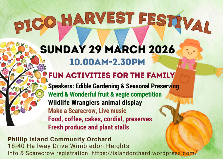 PICO Harvest Festival