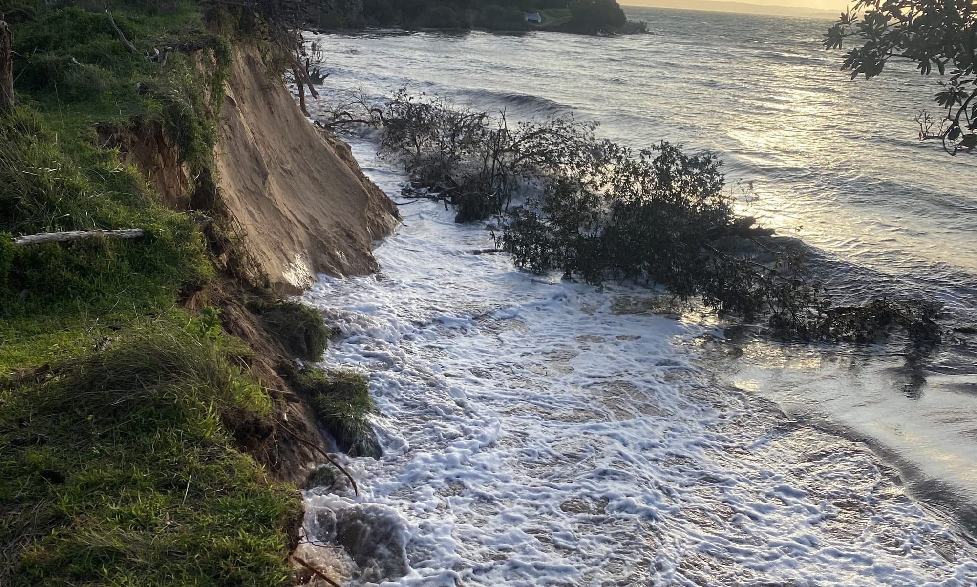 Object “if you want a land tax reduction”