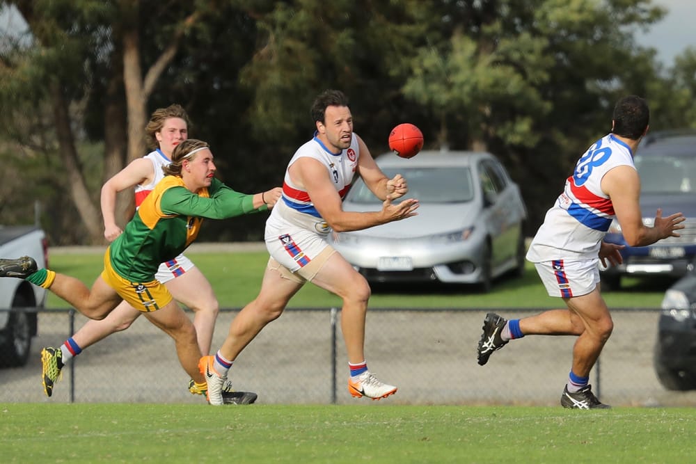 Bulldogs bring Stars back to earth post image
