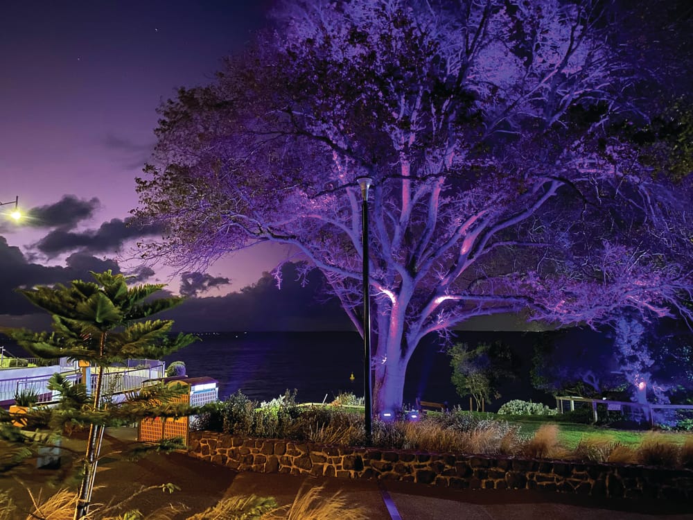 Community shines light on family violence post image