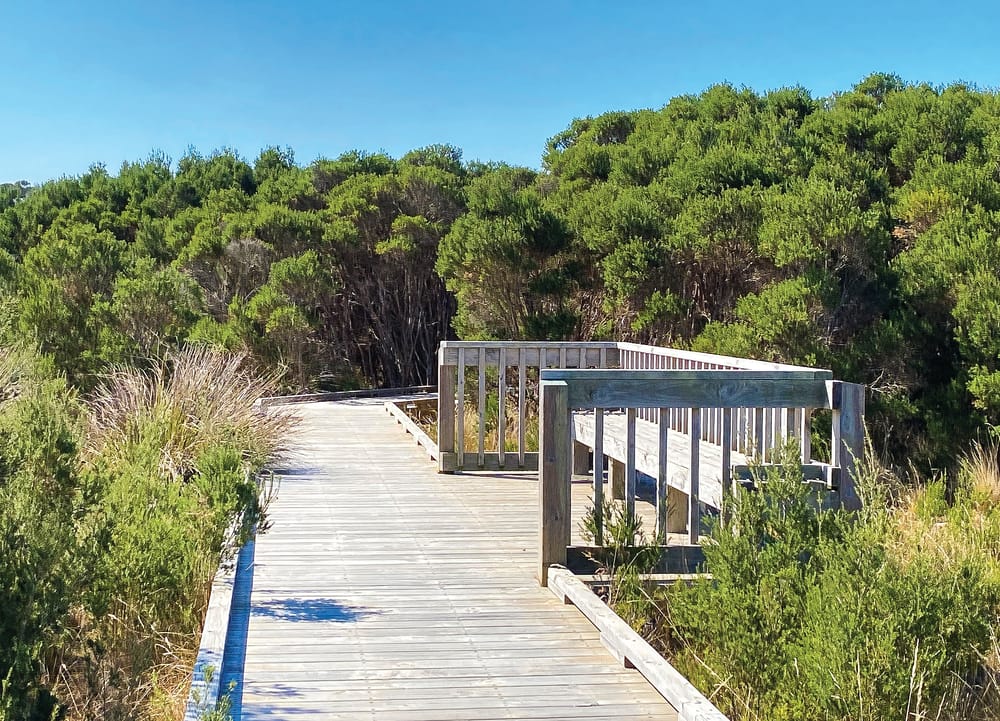 These boots are made for walking ... and cycling ... and riding post image