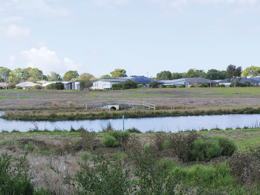 Wetland woes continue post image