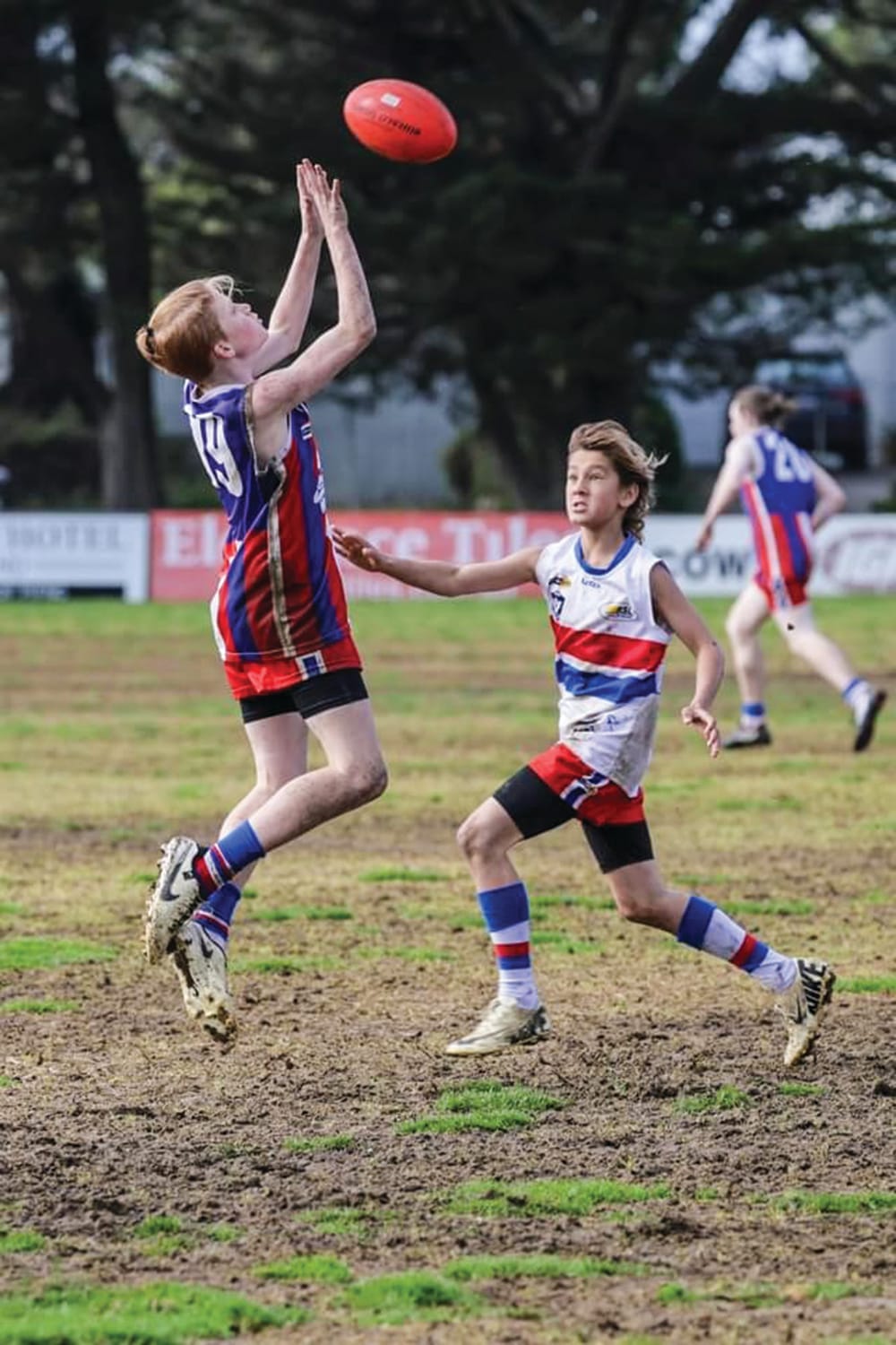 Red and Blue battle at the Kennel post image